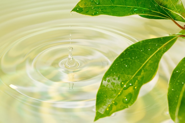 オーガニック素材の薬剤使用